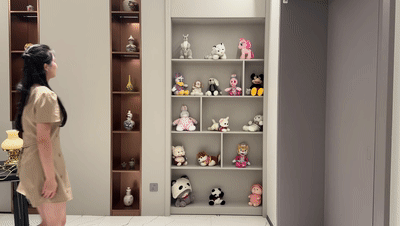 隐形门.gif